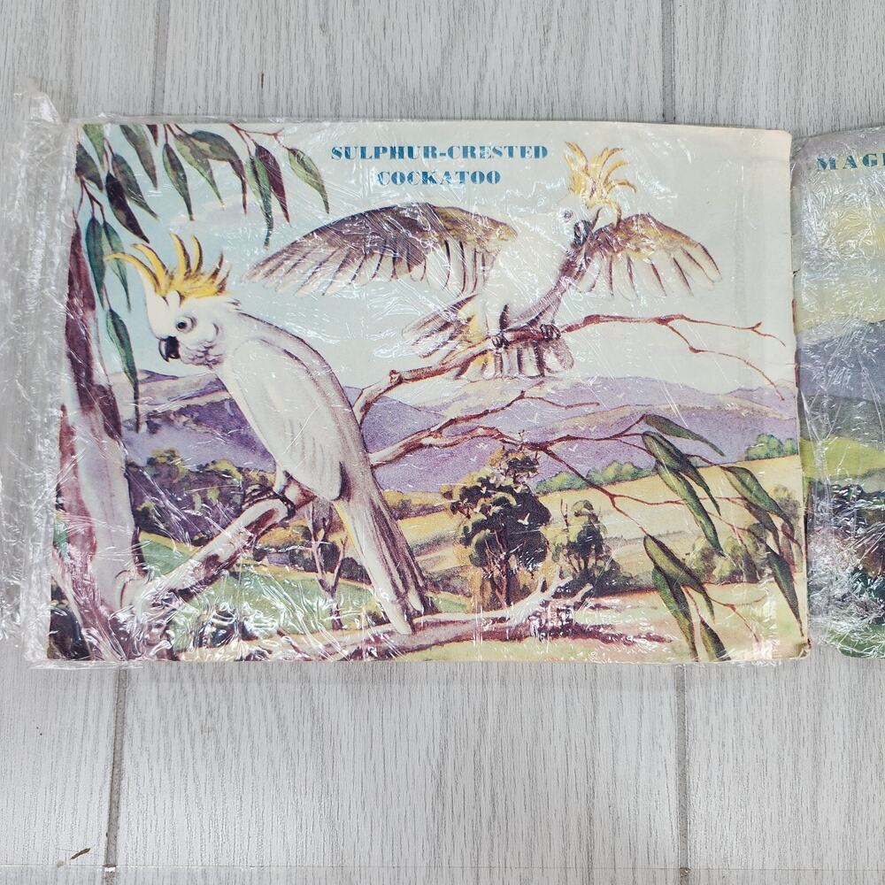 Vintage 1953 Australian Animals Children’s Book Photograpatures Illustrated - Picture 14 of 16